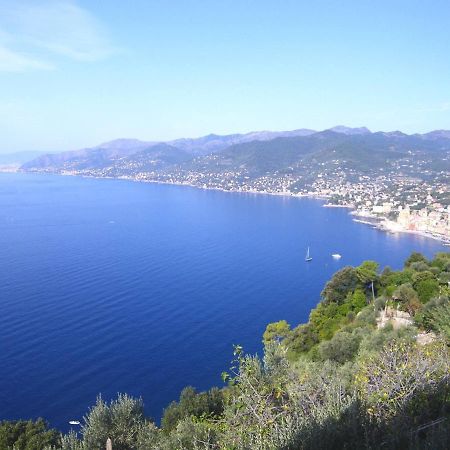 Portofino Mountain Unique Love Nest サン・ロッコ エクステリア 写真